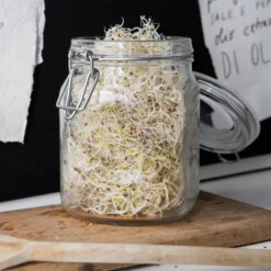 Glasdose 1L 8 Glasdose 1L -Günstig Haushaltsgegenstände 300794 14382 1 scaled