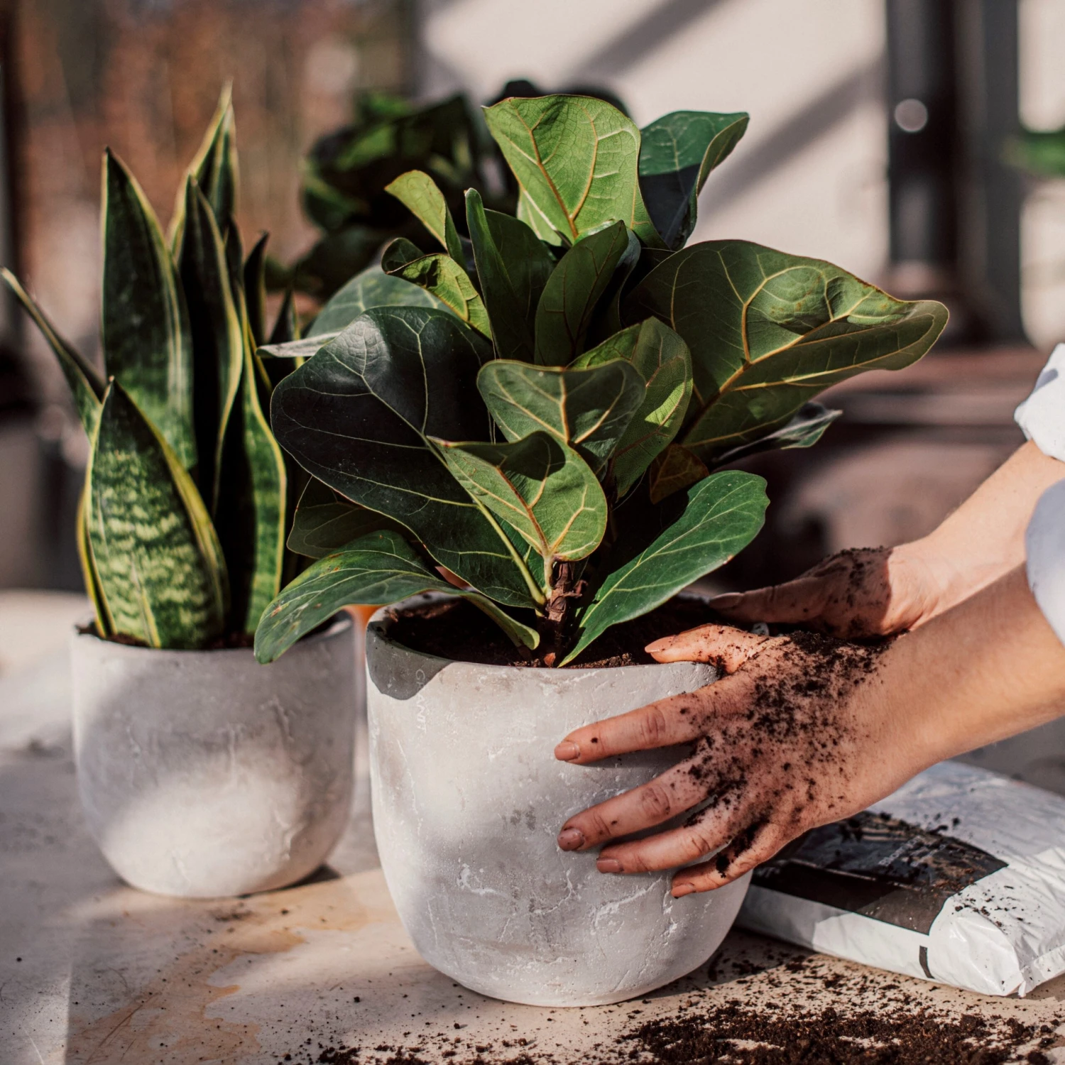 Blumentopf Beton Rund Ø15cm 3 Blumentopf Beton Rund Ø15cm – Bild 3