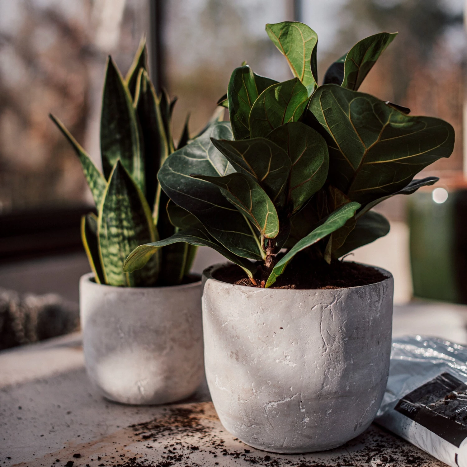 Blumentopf Beton Rund Ø15cm 4 Blumentopf Beton Rund Ø15cm – Bild 4