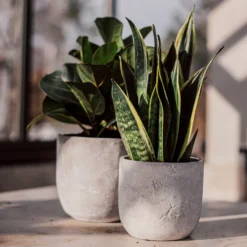 Blumentopf Beton Rund Ø15cm 10 Blumentopf Beton Rund Ø15cm -Günstig Haushaltsgegenstände 302143 25174 scaled