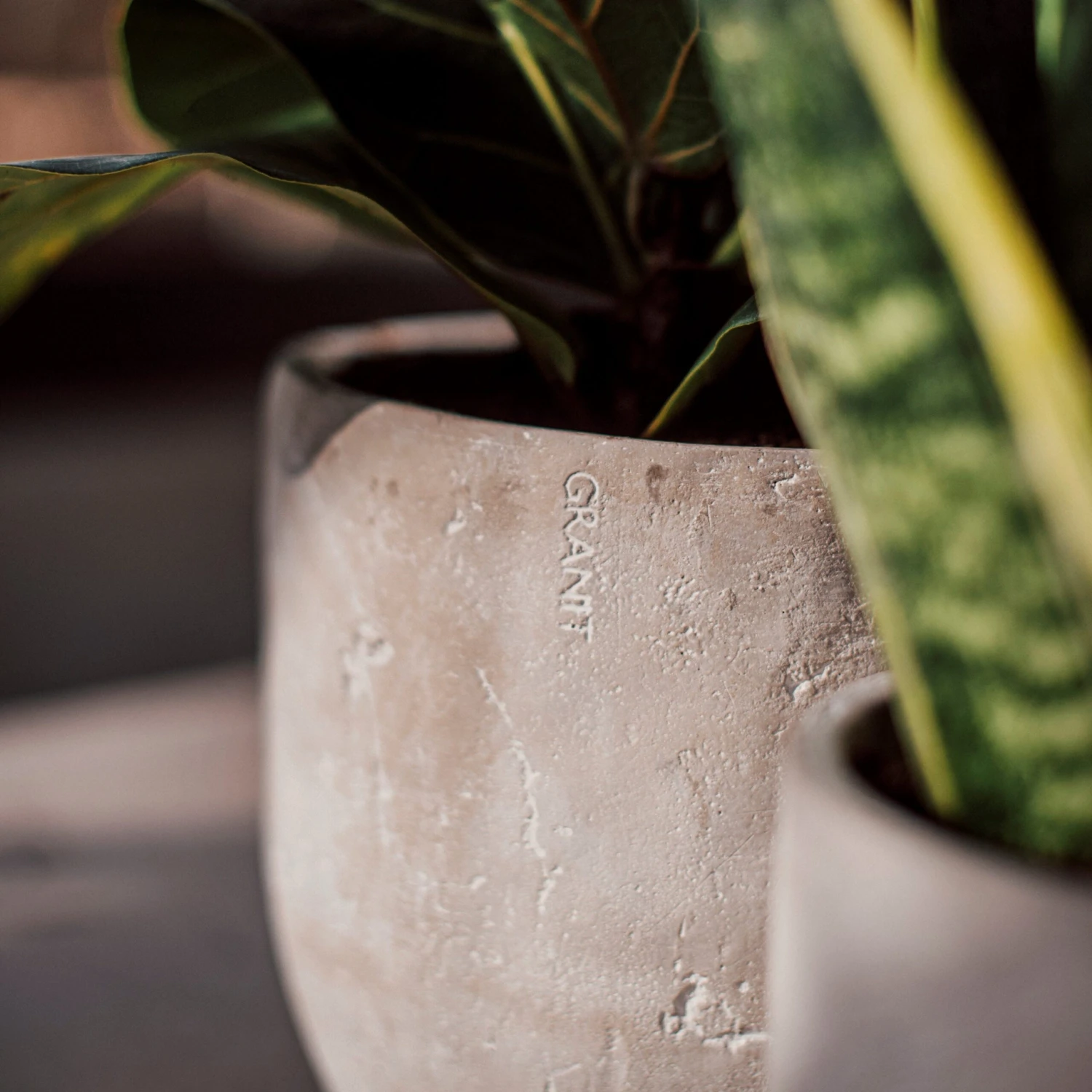 Blumentopf Beton Rund Ø15cm 6 Blumentopf Beton Rund Ø15cm – Bild 6