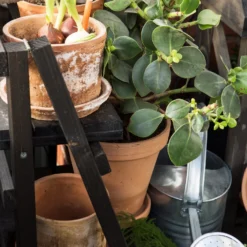 Blumentopf Terrakotta Ø18cm -Günstig Haushaltsgegenstände 371269 12844 scaled