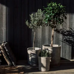 Blumentopf Beton Zylinder Ø31cm -Günstig Haushaltsgegenstände 371963 33437 1 scaled