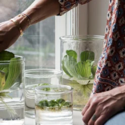 Vase Glas Ø10cm -Günstig Haushaltsgegenstände 373207 13946 scaled