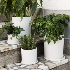 Blumentopf/Teller Polystone Mittel Weiß -Günstig Haushaltsgegenstände 373542 14851 1 scaled