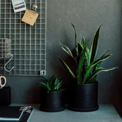 Blumentopf/Teller Polystone Klein Schwarz -Günstig Haushaltsgegenstände 373916 28814 scaled