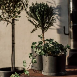 Blumentopf/Teller Polystone Klein Schwarz -Günstig Haushaltsgegenstände 373916 34162 scaled