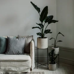 Piedestal Metall Klein -Günstig Haushaltsgegenstände 374064 32643 scaled