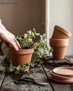 Blumentopf Terrakotta Ø 13,5 Cm -Günstig Haushaltsgegenstände 374451 38947 scaled