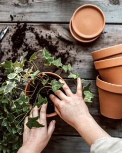 Blumentopf Terrakotta Ø 13,5 Cm -Günstig Haushaltsgegenstände 374451 38948 scaled
