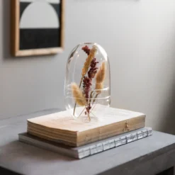 Pflanzenkuppel Glas Klein -Günstig Haushaltsgegenstände 375457 21323 scaled