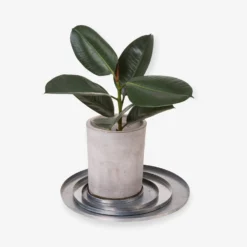 Blumentopfuntersetzer Eisen Silber Ø 40 Cm -Günstig Haushaltsgegenstände 375759 19278 3 scaled