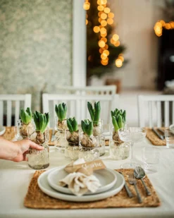 Hyazinthenvase Glatt Klarglas Groß -Günstig Haushaltsgegenstände 376213 36916 scaled