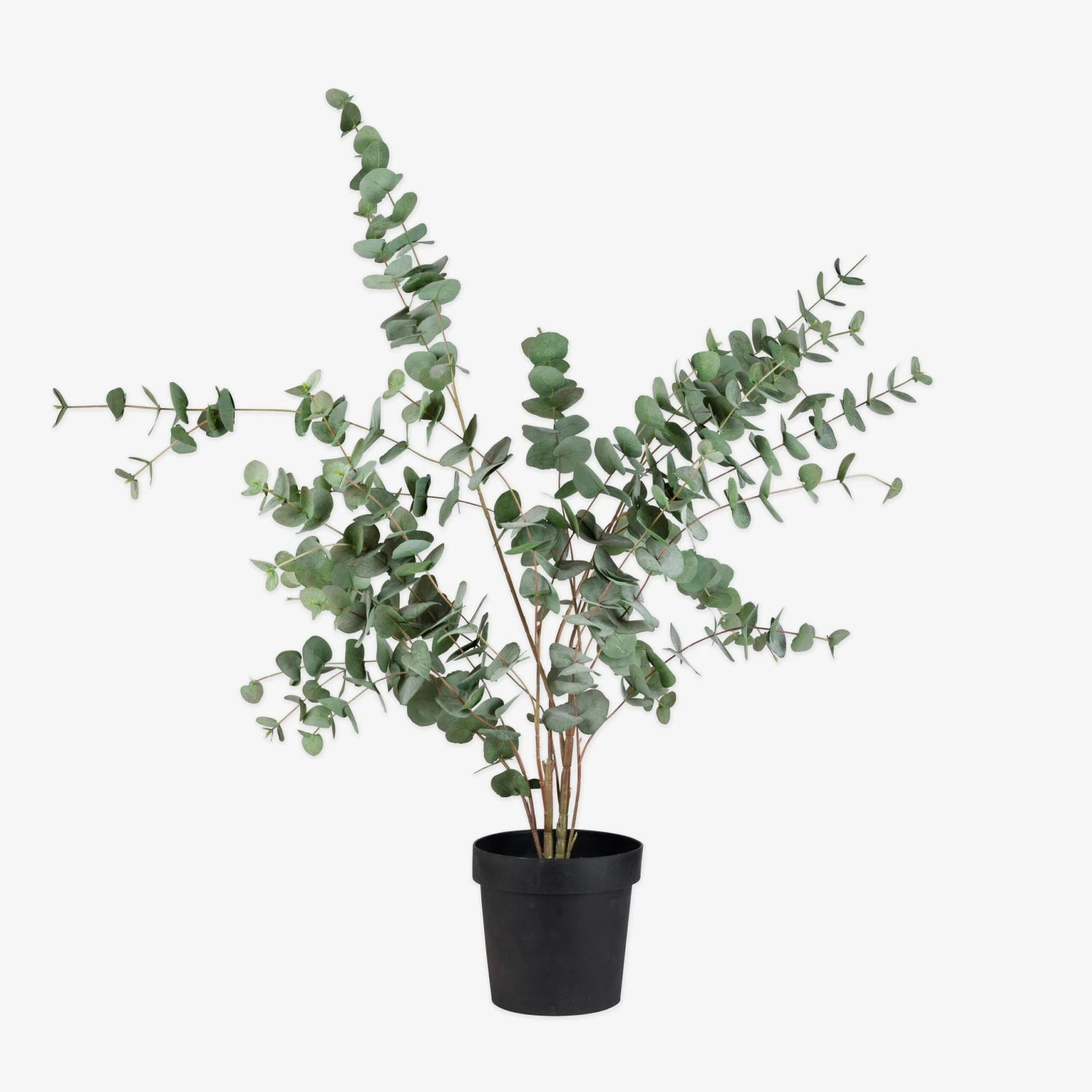 Zimmerpflanze Kunst Eukalyptus 110 Cm 1 Zimmerpflanze Kunst Eukalyptus 110 Cm