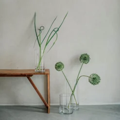 Vase Glas Zylinder H 20 Cm Ø 15 Cm -Günstig Haushaltsgegenstände 400752 29507 scaled