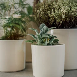 Blumentopf Glasiert 13 Cm Creme -Günstig Haushaltsgegenstände 400888 28335 scaled