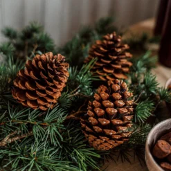 Zapfen Dekoration Groß -Günstig Haushaltsgegenstände 401322 30310 scaled