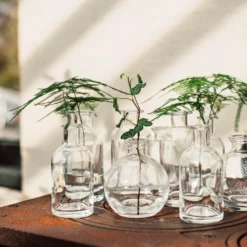 Vase Ableger H 12 Cm -Günstig Haushaltsgegenstände 401477 33622 scaled