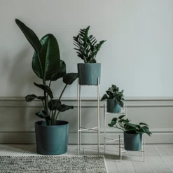 Pot Glazed 15cm Eucalyptus 8 Pot Glazed 15cm Eucalyptus -Günstig Haushaltsgegenstände 401485 31637 scaled