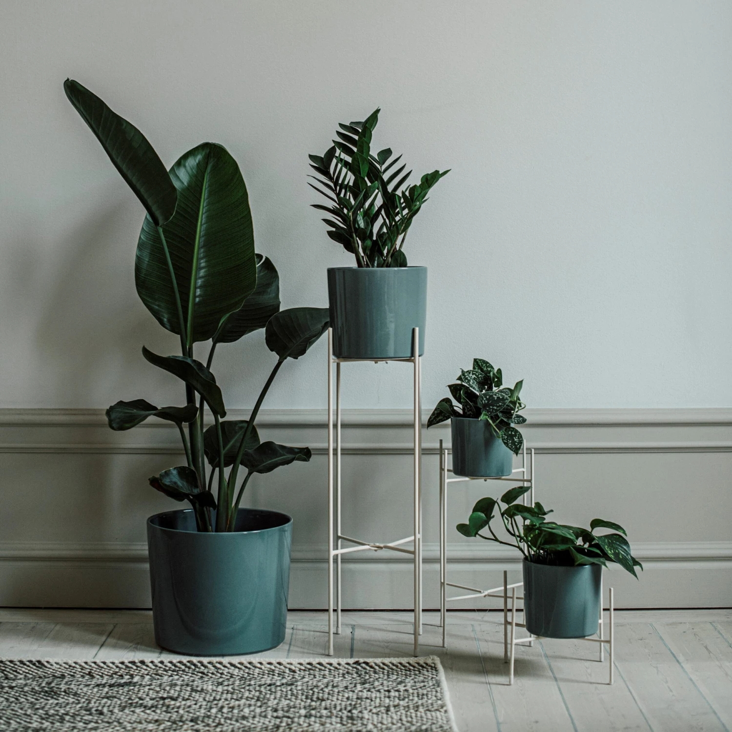 Pot Glazed 13cm Eucalyptus 3 Pot Glazed 13cm Eucalyptus – Bild 3