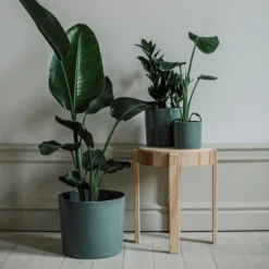 Pot Glazed 13cm Eucalyptus 7 Pot Glazed 13cm Eucalyptus -Günstig Haushaltsgegenstände 401486 31638 scaled