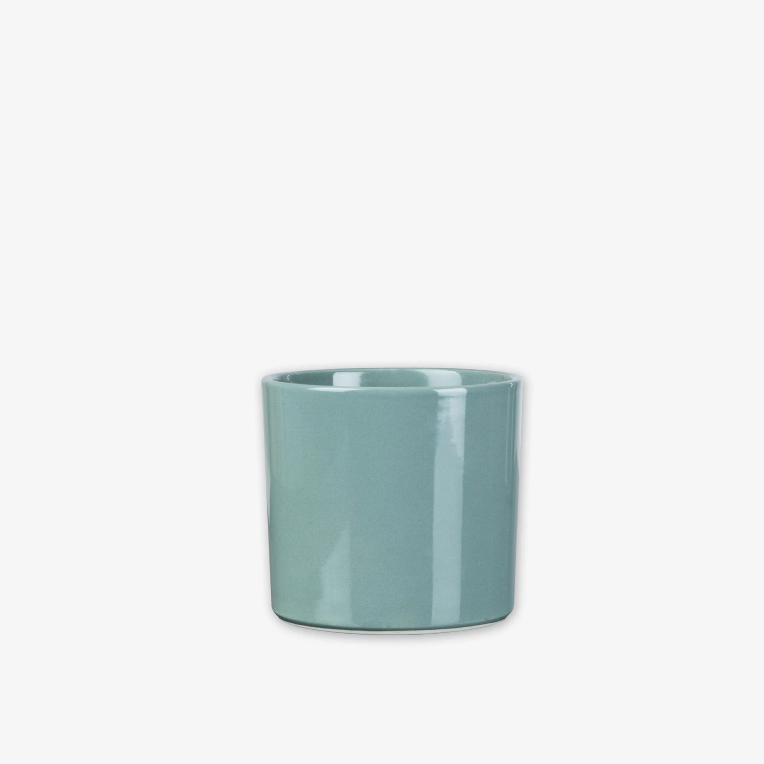 Pot Glazed 13cm Eucalyptus 1 Pot Glazed 13cm Eucalyptus