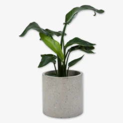 Pot Cement Terrazzo Ø27 Sand -Günstig Haushaltsgegenstände 401499 31876 scaled