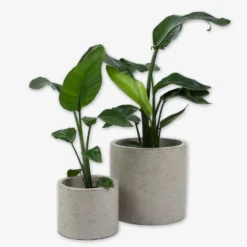 Pot Cement Ø27 Sand -Günstig Haushaltsgegenstände 401503 31891 scaled