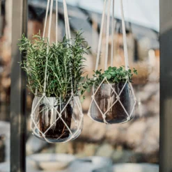 Ampel Glas Klein Natur -Günstig Haushaltsgegenstände 401530 33848 scaled