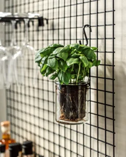 S-Haken Eisen 5 Cm 5er-Pack Schwarz -Günstig Haushaltsgegenstände 401789 37620 scaled