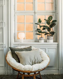 Blumentopf Stig Lindberg Diabolo 15 Cm Grau 10 Blumentopf Stig Lindberg Diabolo 15 Cm Grau -Günstig Haushaltsgegenstände 401973 36495 scaled